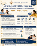 小学华文补习 Primary Chinese Tuition P5-P6